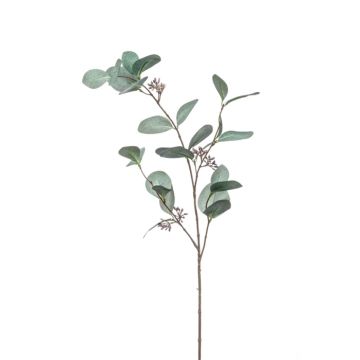 Künstlicher Eukalyptus Zweig MAXEN mit Früchten, grün-grau, 75cm