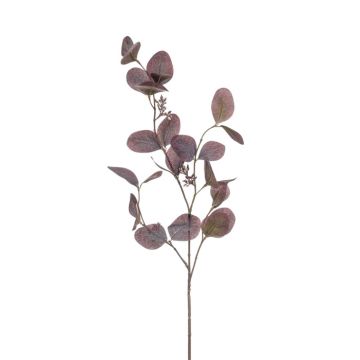 Künstlicher Eukalyptus Zweig MAXEN mit Früchten, violett-grau, 75cm