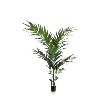 Kunstpalme Kentia Palme NESTA, 150cm