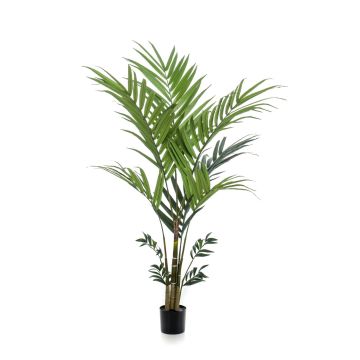 Kunstpalme Kentia Palme NESTA, 180cm