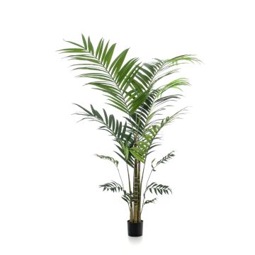 Kunstpalme Kentia Palme NESTA, 210cm