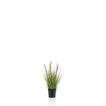 Kunstpflanze Gras Federborstengras YWAIN mit Rispen, beige-grün, 45cm