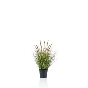 Kunstpflanze Gras Federborstengras YWAIN mit Rispen, beige-grün, 60cm