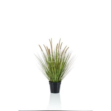 Kunstpflanze Gras Federborstengras YWAIN mit Rispen, beige-grün, 70cm
