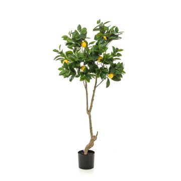Zitronenbaum künstlich MAKOTO, Kunststamm, mit Früchten, 150cm