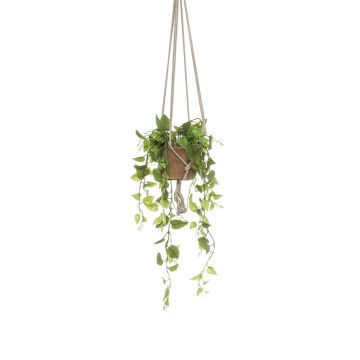 Dekopflanze Philodendron Scandens Hänger RUESCA, Terracotta Topf, 90cm
