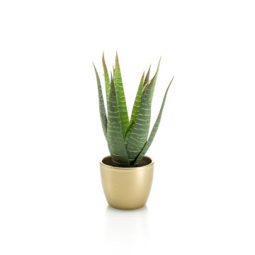 Deko Aloe Variegata MARTINEZ, Keramiktopf gold, grün, 25cm, Ø17cm