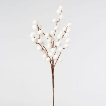 Dekozweig Gomphocarpus KALANI mit Früchten, gefroren, weiß, 45cm