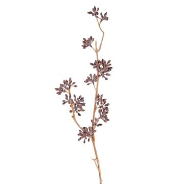 Eukalyptuszweig künstlich SOHA mit Früchten, braun, 60cm