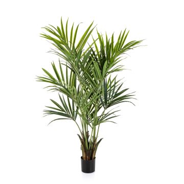 Kunst Kentia Palme OMAYRA, buschig, 170cm