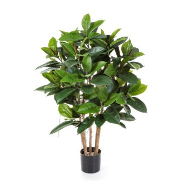 Künstlicher Gummibaum AZZURRA, grün, 120cm