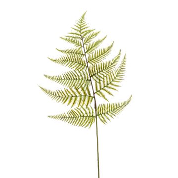 Künstliches Blatt Schwertfarn MBALI, grün, 80cm