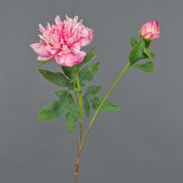 Pfingstrose künstlich BADIS, rosa, 75cm, Ø13cm