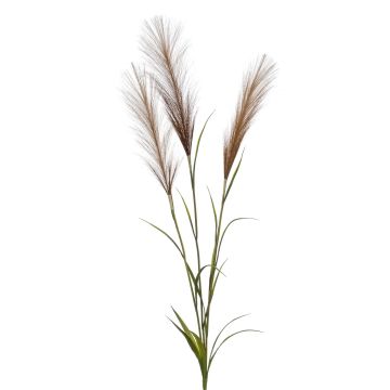 Künstlicher Zweig Pampasgras ADNANE mit Rispen, braun, 90cm