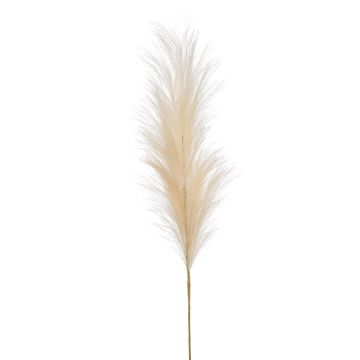 Kunstpflanze Pampasgras Rispe AMATSIA, creme, 115cm