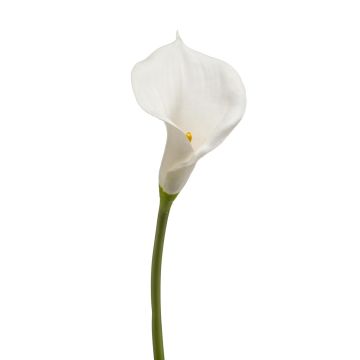 Kunst Blume Calla DAISCHI, weiß, 70cm, 11x14cm
