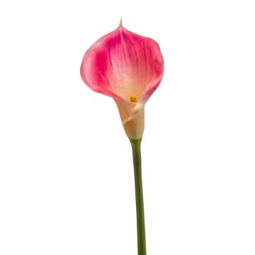 Kunst Blume Calla DAISCHI, rosa-creme, 70cm, 11x14cm