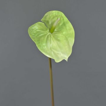 Anthurie künstlich YUSEI, grün-creme, 65cm, 13,5x16cm