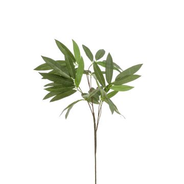 Kunst Eukalyptus Zweig ELIKIA, grün, 95cm