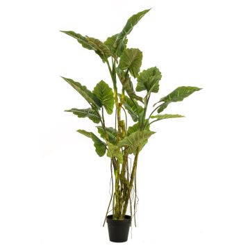 Künstliche Pflanze Elefantenohr KOKKO mit Lianen, grün, 195cm