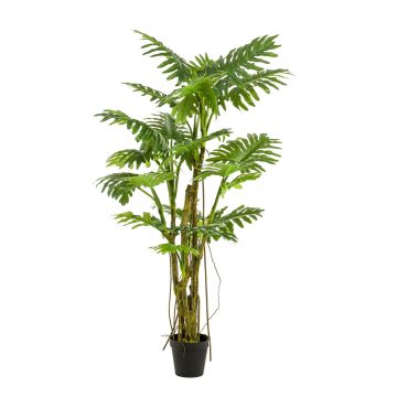 Künstliche Pflanze Philodendron Selloum EDHEM, 195cm