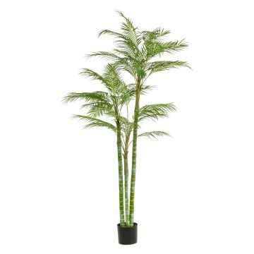 Künstliche Goldfruchtpalme AKANE, 200cm