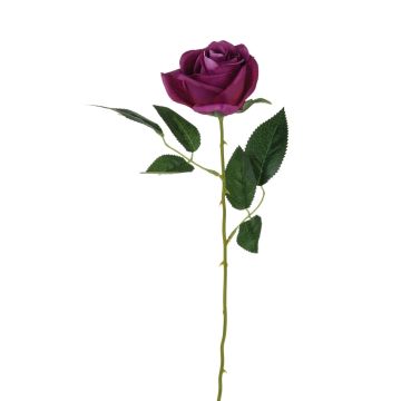 Samt Rose SEENSA, dunkelviolett, 55cm, Ø7cm