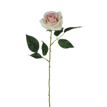 Samt Rose SEENSA, creme-rosa, 55cm, Ø7cm