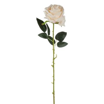 Samt Rose ELEAZAR, creme-aprikose, 65cm, Ø9cm