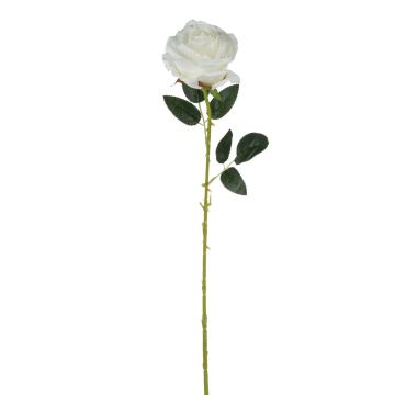Samt Rose ELEAZAR, weiß, 65cm, Ø9cm