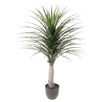 Kunststoff Yucca DENDES im Dekotopf, 120cm