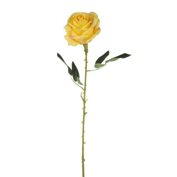 Samt Rose ELEAZAR, gelb, 65cm, Ø9cm