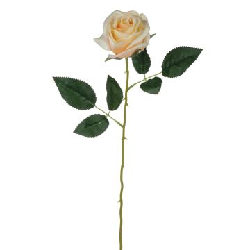 Samt Rose SEENSA, creme-aprikose, 55cm, Ø7cm