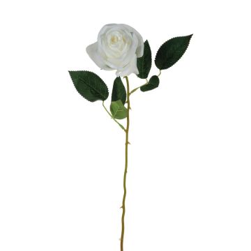 Samt Rose SEENSA, weiß, 55cm Ø7cm