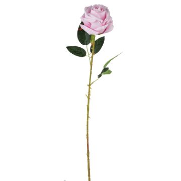Samt Rose ELEAZAR, rosa, 65cm, Ø9cm