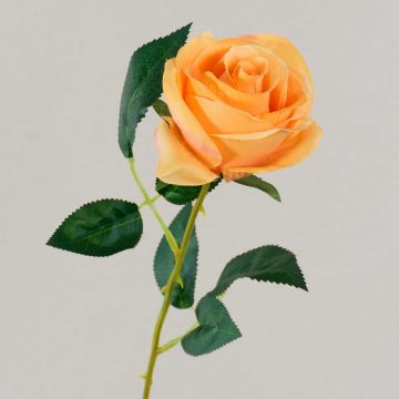 Samt Rose SEENSA, orange, 55cm, Ø7cm