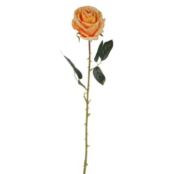 Samt Rose ELEAZAR, orange, 65cm, Ø9cm
