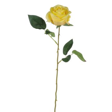 Samt Rose SEENSA, gelb, 55cm, Ø7cm