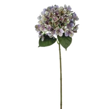 Samt Hortensie RELENA, grün-violett, 65cm