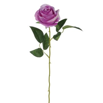 Samt Rose SEENSA, pink, 55cm, Ø7cm