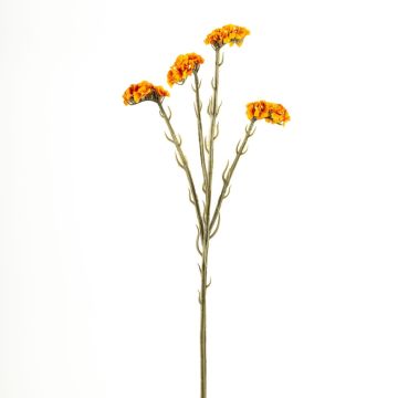 Dekoblume Strandflieder AYISHA, Trockenoptik, orange, 65cm