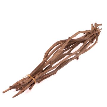Rebenholzbündel ROSHAN, getrocknet, 10 Stück, natur, 65cm