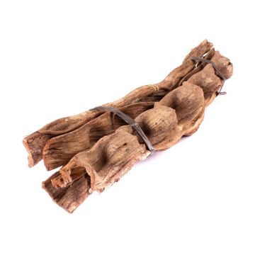 Getrocknetes Lianenstücke Bündel Cipo Escada NALLESTE, 5 Stück, natur, 60cm