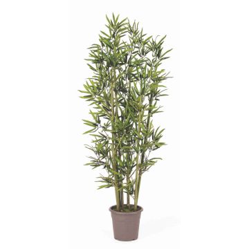 Unechter Bambus KUSJA, Natur Bambusstäbe, crossdoor, 150cm - Made in Italy