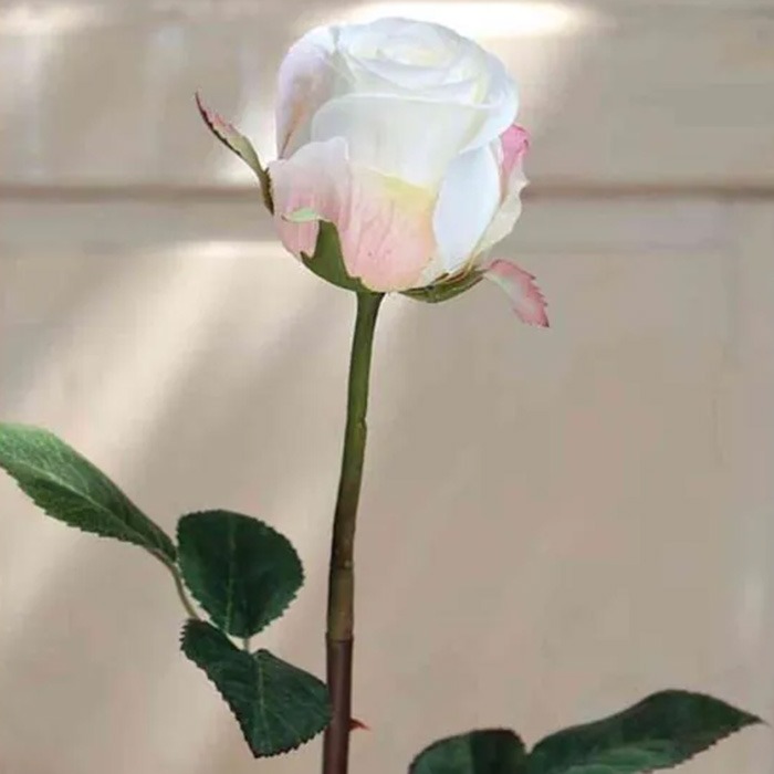 Allerheiligen Blumen