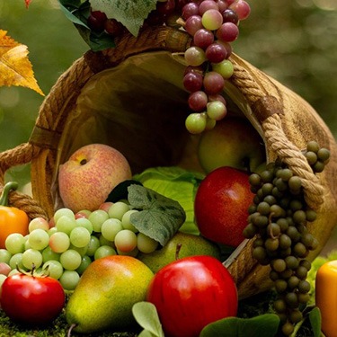 Obst / Gemüse