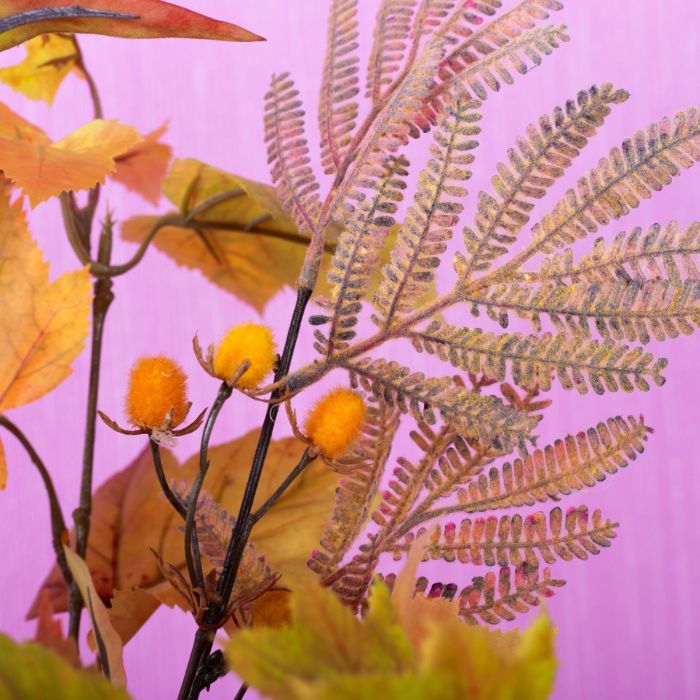 Herbstzweige