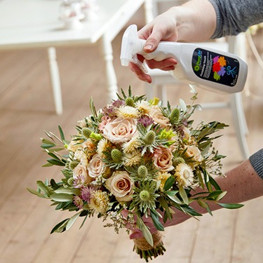 Blumennahrung / Pflanzenpflege