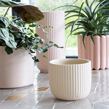 Blumentöpfe in Beige
