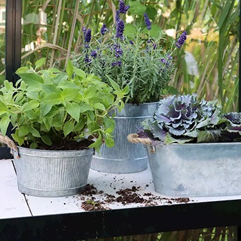 Blumentöpfe in Silber